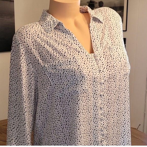 Velvet Heart White w/Black Polka-dots Collar - V-neck - Picture 15 of 16